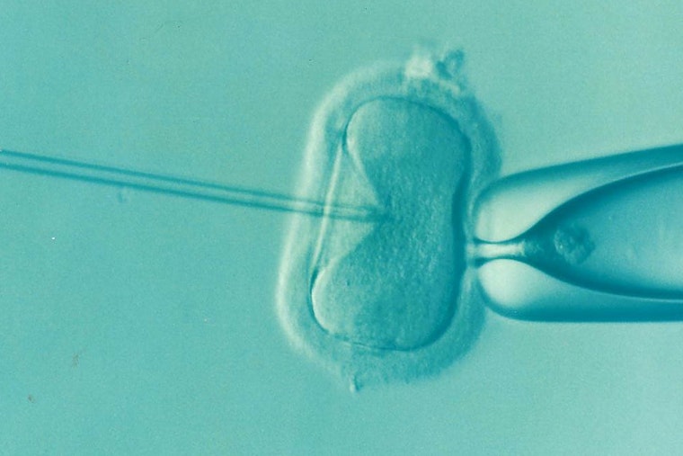 California Seeks to Broaden Essential Health Benefits to Include IVF and Hearing Exams