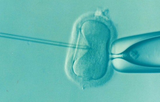 California Seeks to Broaden Essential Health Benefits to Include IVF and Hearing Exams