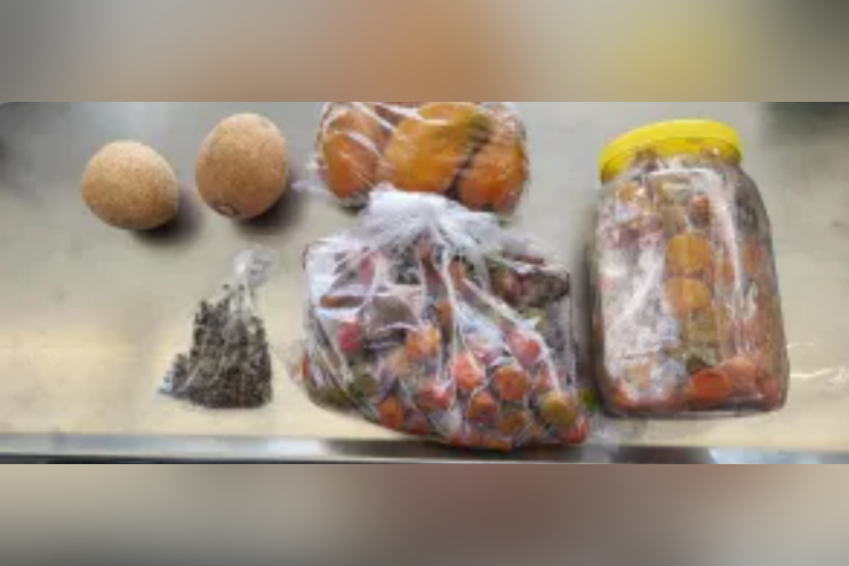 hoodline.com - Jesse Hoffman - CBP Halts Potential Agricultural Threats with Live Poultry and Insect Seizures at Juarez-Lincoln Bridge