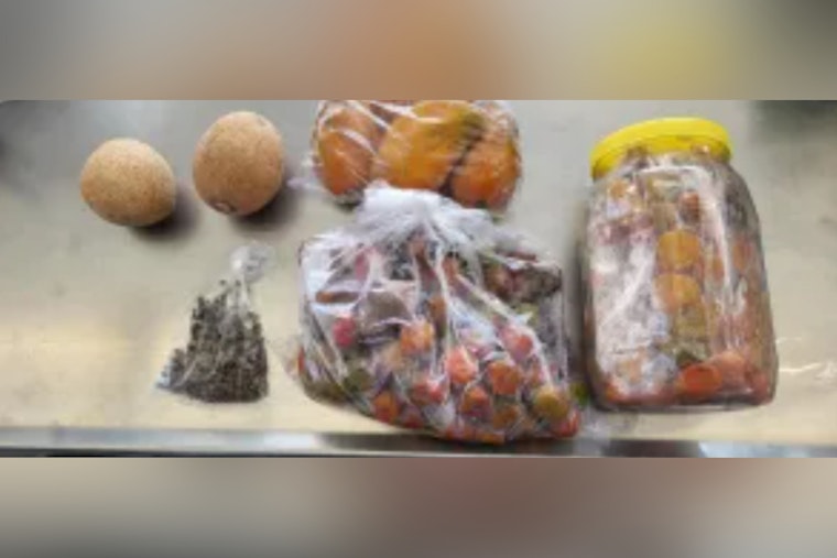CBP Halts Potential Agricultural Threats with Live Poultry and Insect Seizures at Juarez-Lincoln Bridge