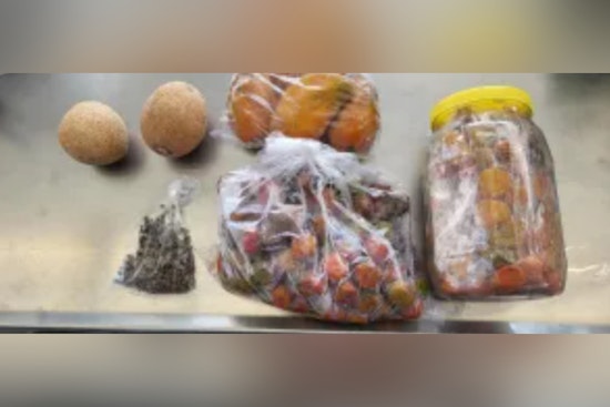 CBP Halts Potential Agricultural Threats with Live Poultry and Insect Seizures at Juarez-Lincoln Bridge