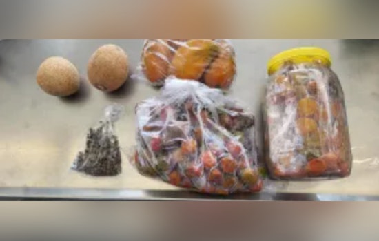 CBP Halts Potential Agricultural Threats with Live Poultry and Insect Seizures at Juarez-Lincoln Bridge