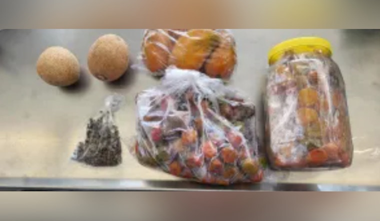 CBP Halts Potential Agricultural Threats with Live Poultry and Insect Seizures at Juarez-Lincoln Bridge