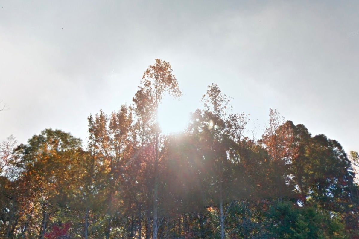 Charlotte Welcomes Warmer Weather with Sunny Skies Ahead, Possible