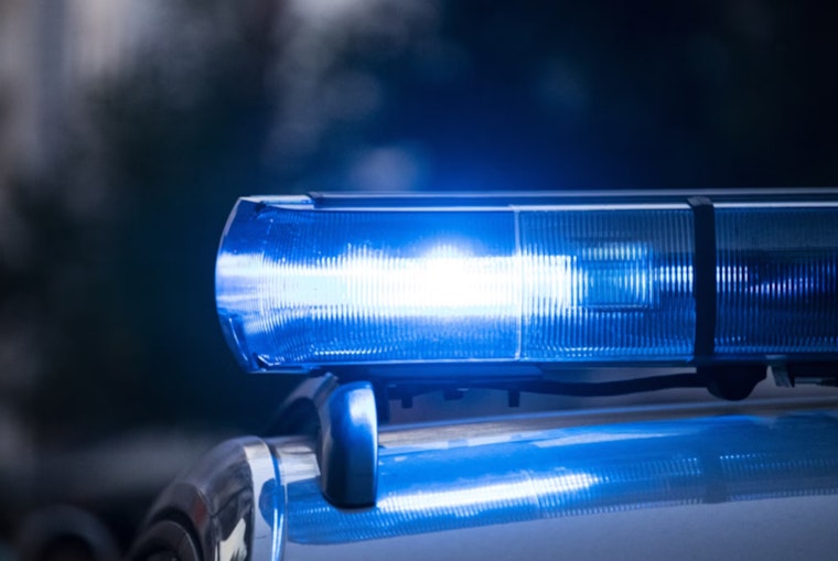 Chicago Businesses on Edge as Burglary Spree Hits 15th and 25th Districts, Black BMW SUV Linked to Crimes