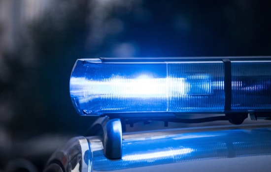 Chicago Businesses on Edge as Burglary Spree Hits 15th and 25th Districts, Black BMW SUV Linked to Crimes