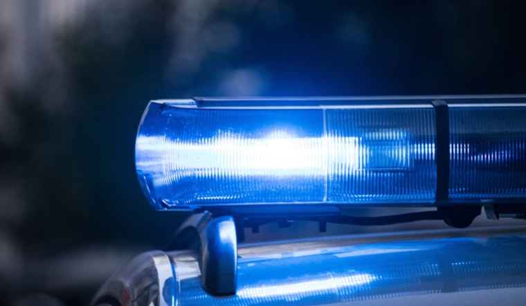 Chicago Businesses on Edge as Burglary Spree Hits 15th and 25th Districts, Black BMW SUV Linked to Crimes