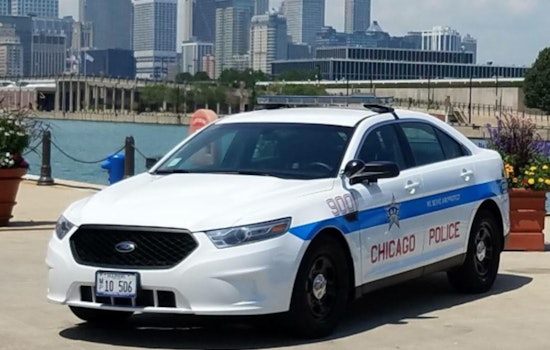 Chicago Police Alert Pilsen Businesses of Recent Burglaries, Seek Suspect