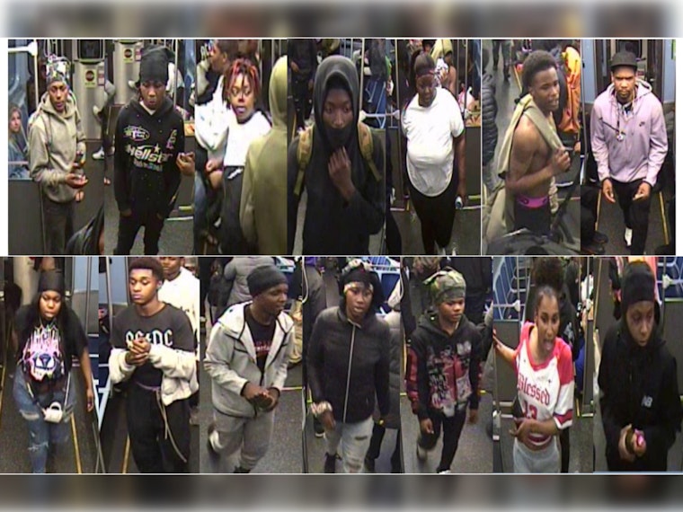 Chicago Police Issue Alert Following Violent Robbery on CTA Red Line at Printer's Row