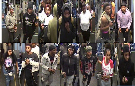 Chicago Police Issue Alert Following Violent Robbery on CTA Red Line at Printer's Row