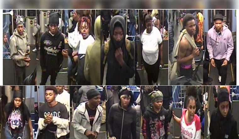 Chicago Police Issue Alert Following Violent Robbery on CTA Red Line at Printer's Row