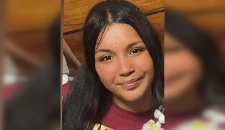 Chicago Police Seek Help to Find Missing Teen Jalissa Soto Last Seen on S. Campbell