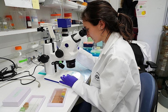 Chicago Researchers Confront NIH Grant Cancellations Amid Trump Administration's Funding Cuts