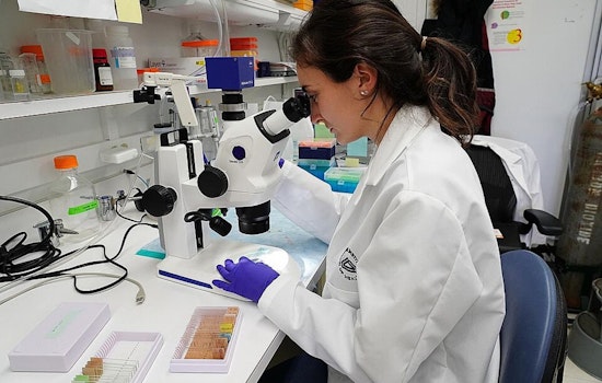 Chicago Researchers Confront NIH Grant Cancellations Amid Trump Administration's Funding Cuts