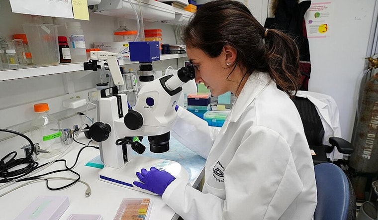 Chicago Researchers Confront NIH Grant Cancellations Amid Trump Administration's Funding Cuts