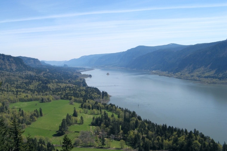 Clark County Health Officials Warn of Toxic Algae in Columbia River,