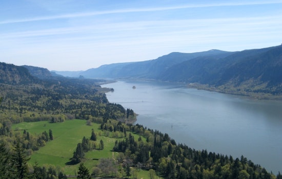 Clark County Health Officials Warn of Toxic Algae in Columbia River, Advise Caution for Residents and Pets in Washougal and Surrounding Areas