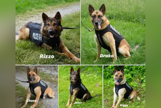 Clarksville K9 Unit Receives Life-Saving Body Armor from Vested Interest in K9s, Inc.