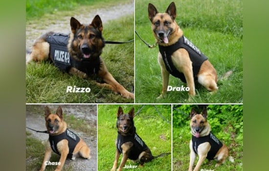 Clarksville K9 Unit Receives Life-Saving Body Armor from Vested Interest in K9s, Inc.