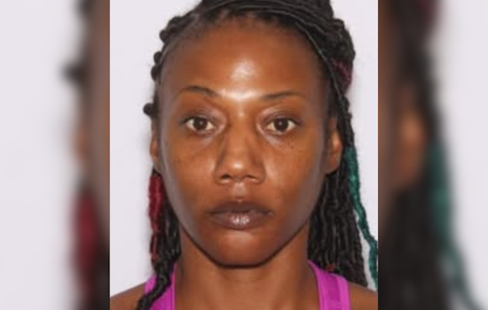 Cleveland Police Seek Public's Aid in Search for Missing Adult Lucretia Corley