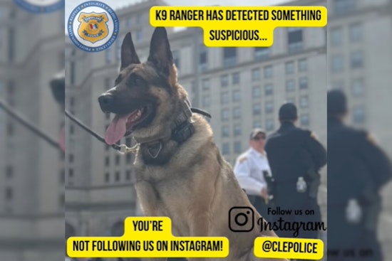 Cleveland Police Use K9 Humor on Social Media to Sniff Out New Followers