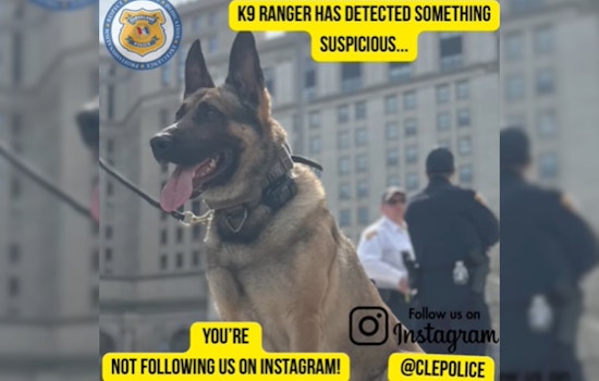 Cleveland Police Use K9 Humor on Social Media to Sniff Out New Followers
