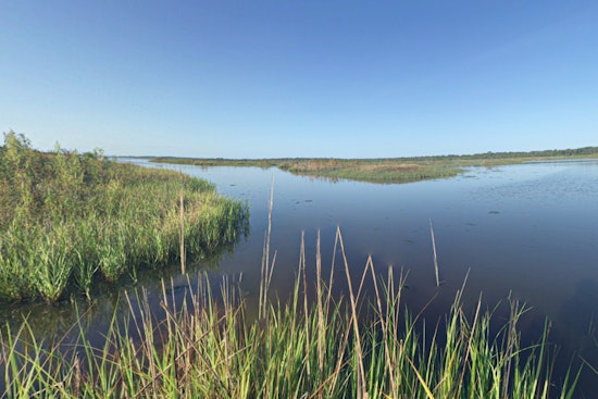 Coastal Mayors of Jacksonville Beach, Atlantic Beach, Neptune Beach, and St. Augustine Beach Celebrate Withdrawal of Guana River Land Swap Proposal