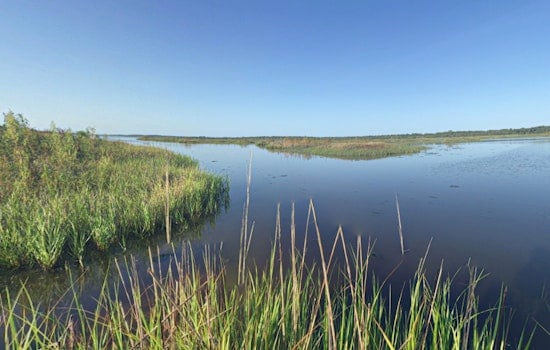 Coastal Mayors of Jacksonville Beach, Atlantic Beach, Neptune Beach, and St. Augustine Beach Celebrate Withdrawal of Guana River Land Swap Proposal