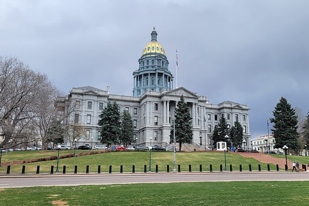 Colorado Enacts New Protections for Wild Bison, Bans Hunting with SB25-053