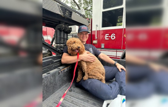 Conroe Fire Department Heroically Rescues Stranded Dog Near Lake Conroe Dam