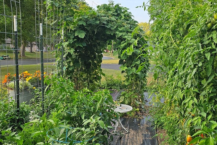 Coon Rapids Calls for Entries in Annual Sustainable Garden Tour This July