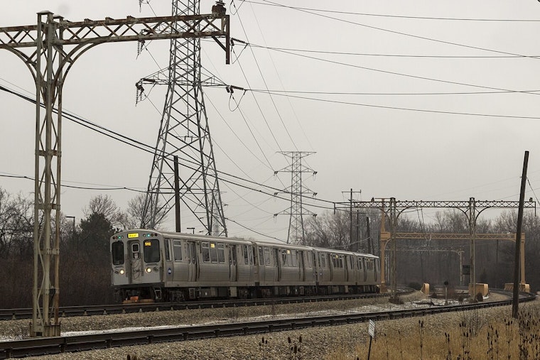 CTA Yellow Line Service Delayed Due to Downed Tree Branch Near Dodge Station
