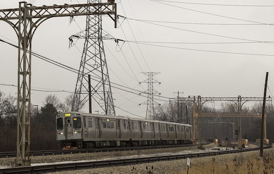 CTA Yellow Line Service Delayed Due to Downed Tree Branch Near Dodge Station