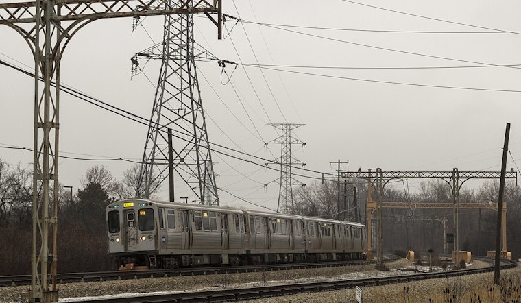 CTA Yellow Line Service Delayed Due to Downed Tree Branch Near Dodge Station