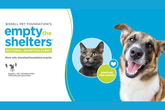 Dallas Animal Services Launches "Empty the Shelter" Event and Celebrates Volunteer Achievements