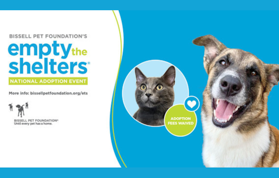 Dallas Animal Services Launches "Empty the Shelter" Event and Celebrates Volunteer Achievements