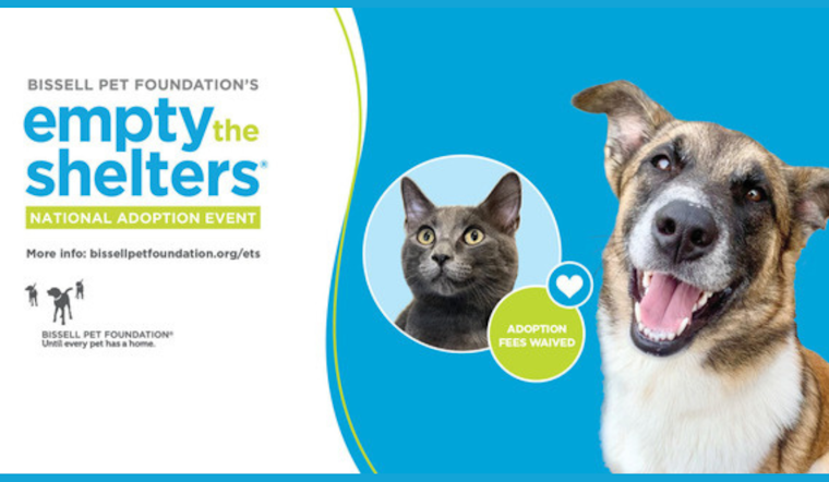 Dallas Animal Services Launches "Empty the Shelter" Event and Celebrates Volunteer Achievements