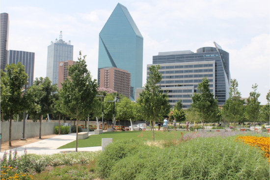 Dallas Park and Recreation Encourages Year-Round Volunteerism Beyond National Volunteer Month