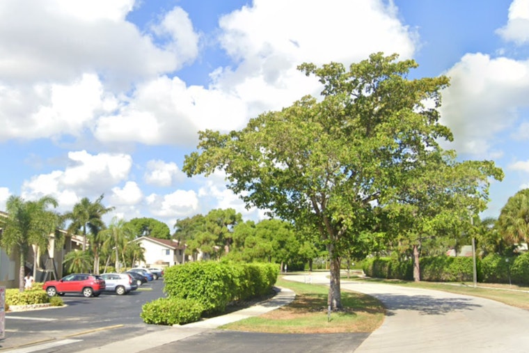 Deerfield Beach Launches Shady Street Tree Program to Combat Heat and Enhance Aesthetics