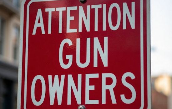 Denver Police Promote Safe Storage of Firearms in Vehicles Amid Rising Theft, Introduce Mandatory Lock Containers