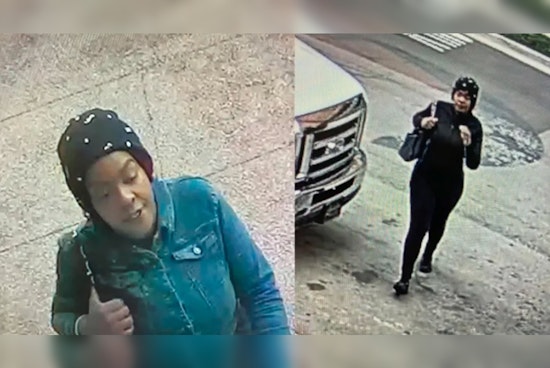 Detroit Police Seek Woman Accused of Cutting Acquaintance at Renaissance Center