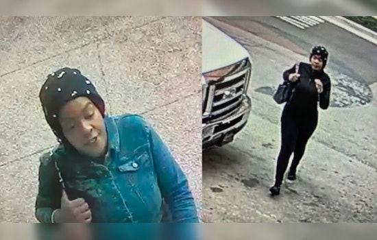 Detroit Police Seek Woman Accused of Cutting Acquaintance at Renaissance Center