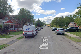 Detroit Teen Charged with Armed Carjacking of Dog Rescuer, Faces Life Imprisonment