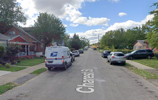 Detroit Teen Charged with Armed Carjacking of Dog Rescuer, Faces Life Imprisonment