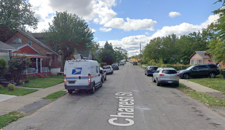 Detroit Teen Charged with Armed Carjacking of Dog Rescuer, Faces Life Imprisonment