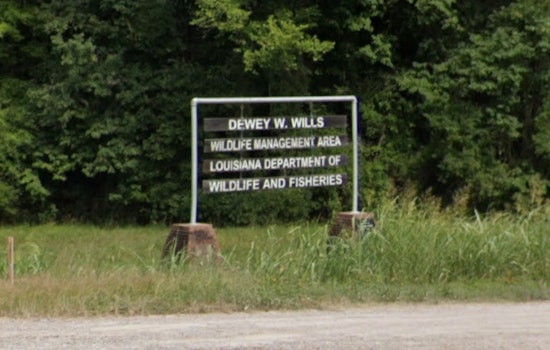 Dewey W. Wills Wildlife Area Welcomes Back Visitors Near Alexandria as Flood-Damaged Roads Reopen