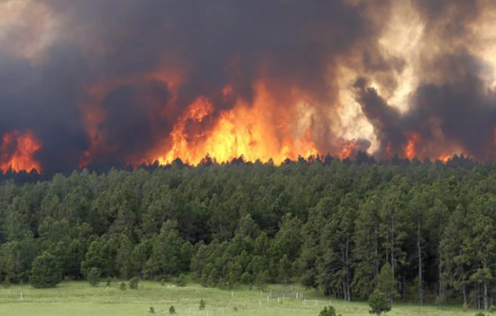 Douglas County Emphasizes Readiness During Wildfire Preparedness Month in Colorado
