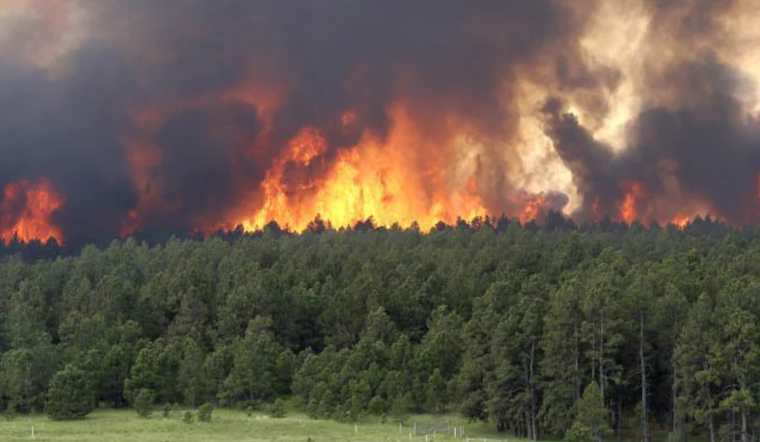 Douglas County Emphasizes Readiness During Wildfire Preparedness Month in Colorado