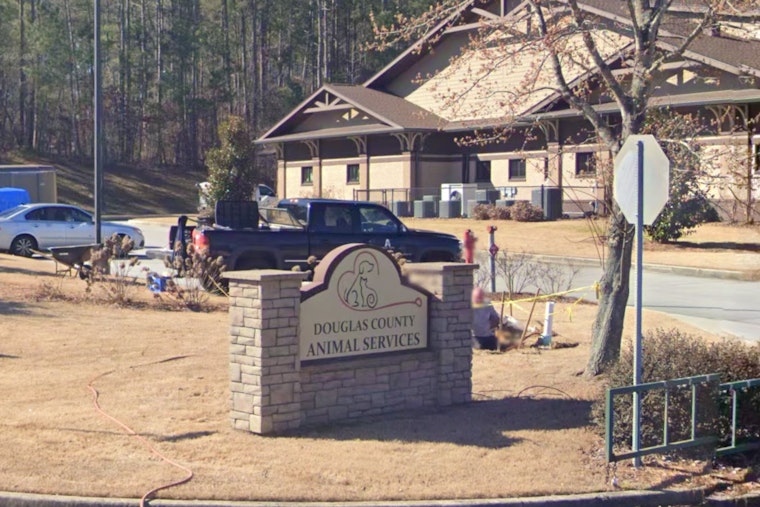 Douglasville Animal Shelter Under State-Enforced Quarantine Amid Viral Outbreak