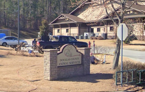Douglasville Animal Shelter Under State-Enforced Quarantine Amid Viral Outbreak